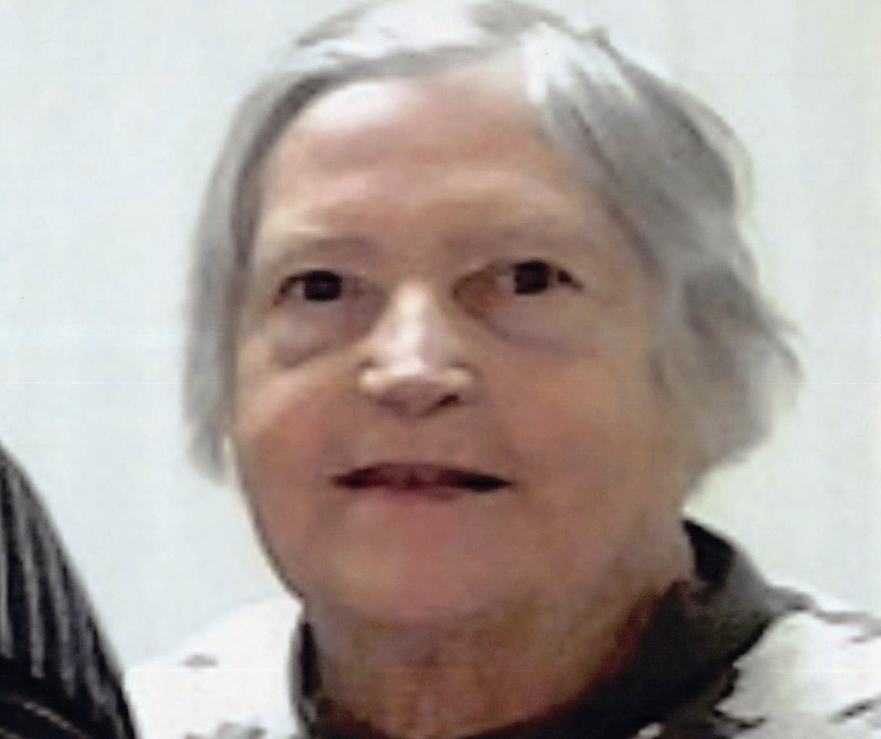 doris schmitt